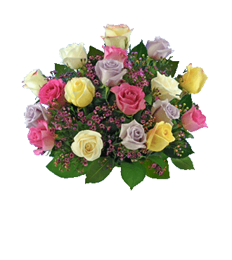 18 Pastel Multi-Color Roses
