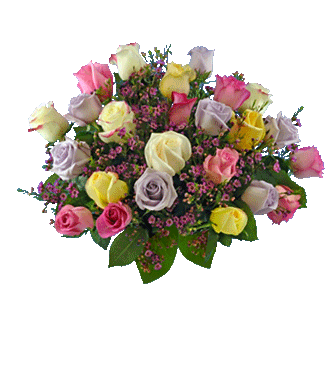 24 Pastel Multi-Color Roses