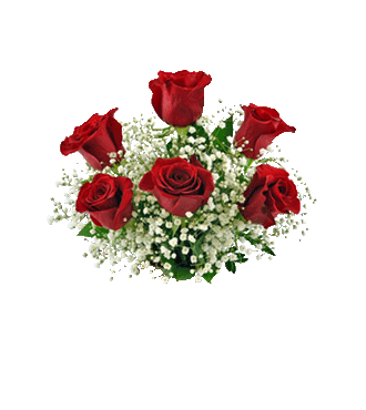 6 Red Long-Stem Roses
