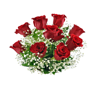 9 Red Long-Stem Roses