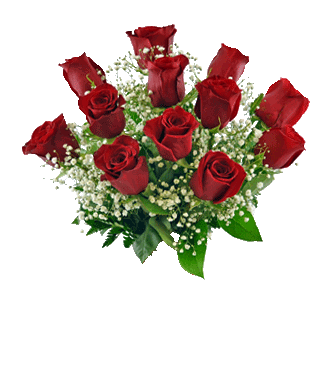 12 Red Long-Stem Roses