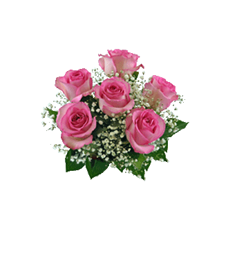 6 Pink Long-Stem Roses