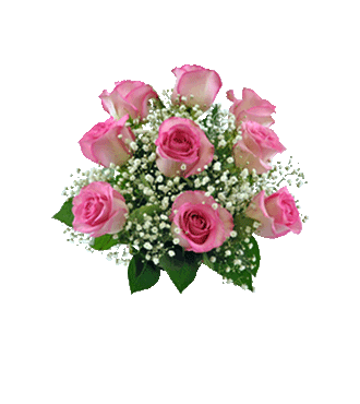 9 Pink Long-Stem Roses