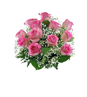 12 Pink Long-Stem Roses