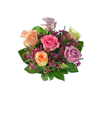 6 Pastel Multi-Color Long-Stem Roses