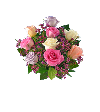 9 Pastel Multi-Color Long-Stem Roses