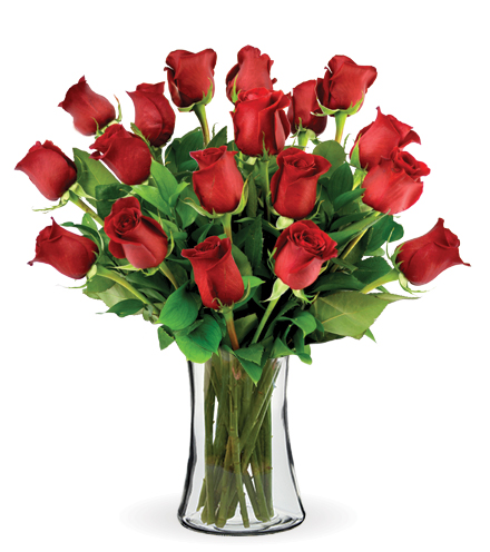 18 Red Long-Stem Roses