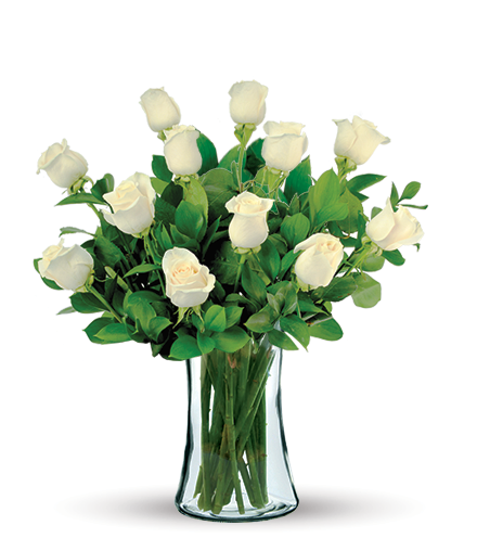 12 White Long-Stem Roses