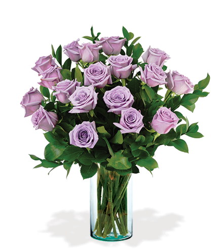 18 Lavender Long-Stem Roses
