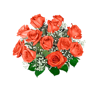 12 Orange Long-Stem Roses