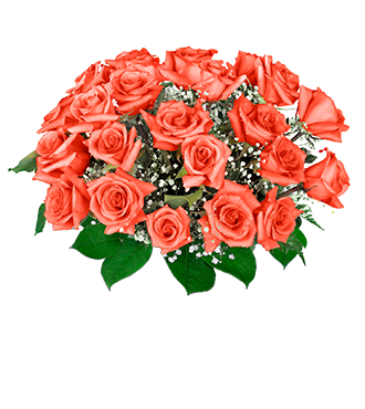 24 Orange Long-Stem Roses