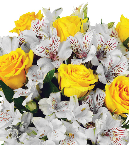 Cheerful Lemon Drops