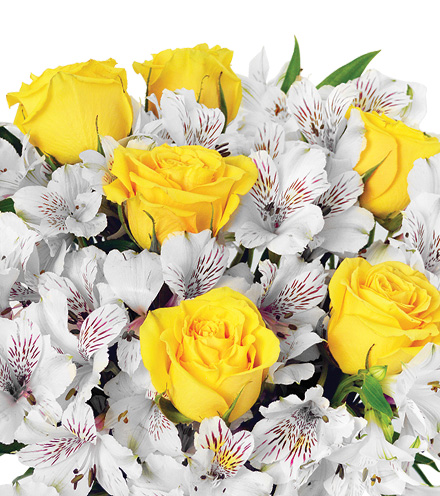 Cheerful Lemon Drops