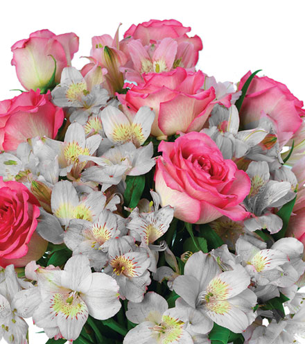 Shimmering Blush