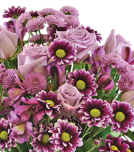 Purple Passion