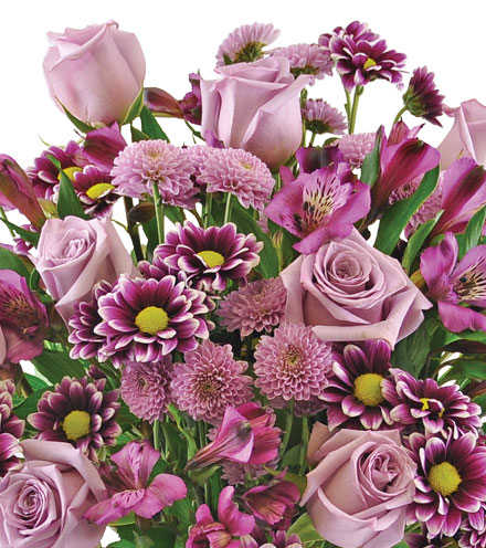 Purple Passion