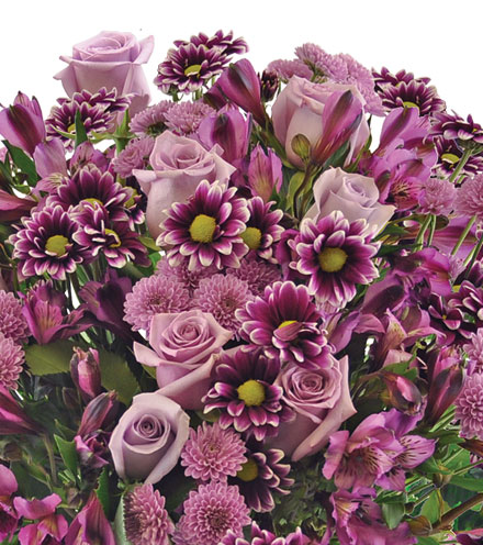 Purple Passion