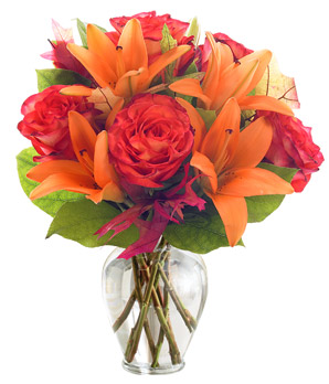 All Orange For You