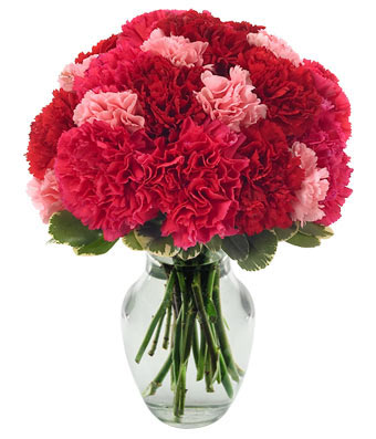 Contemporary Carnations