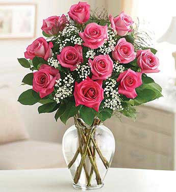 Premium Dozen Roses