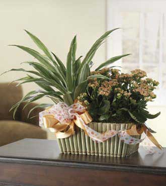 Bountiful Blooming Garden Basket