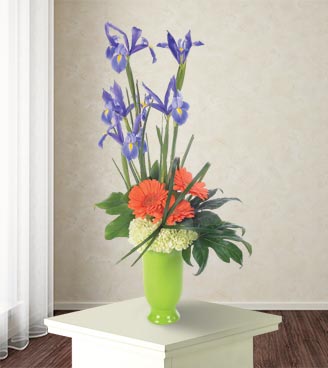 Iris Medley