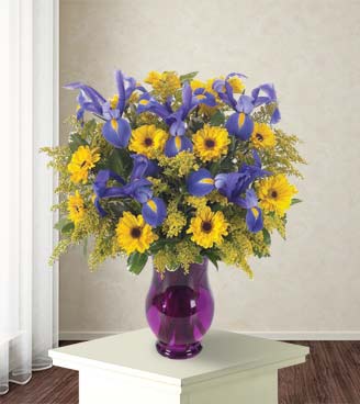 Sunny Garden Brilliance