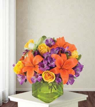 Joyful Blooms