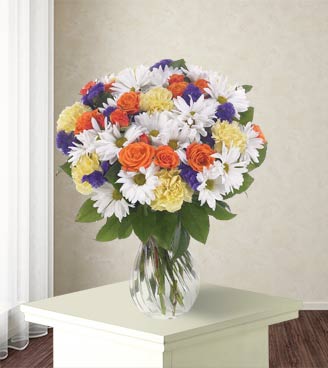 Daisy Delight