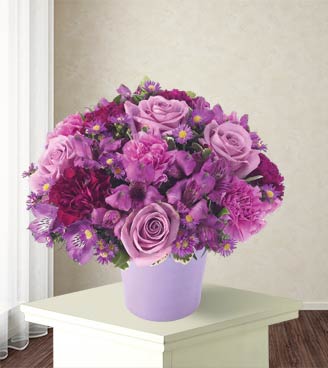 Purple Wishes