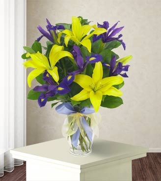 Lily & Iris Surprise