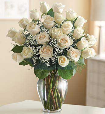 Two Dozen Premium Long Stem Roses