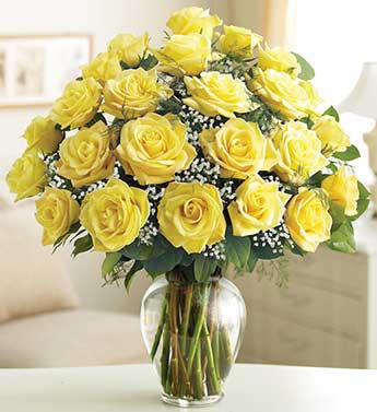 Two Dozen Premium Long Stem Roses