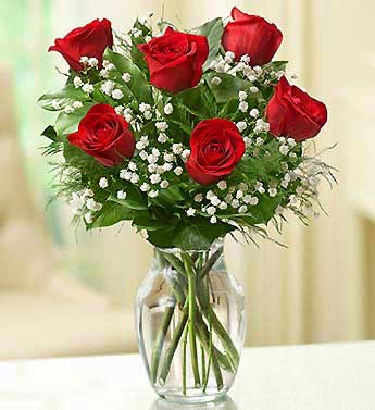 Red Roses - 6 Stems