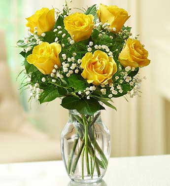 Yellow Roses - 6 Stems