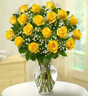 18 Premium Long Stem Roses