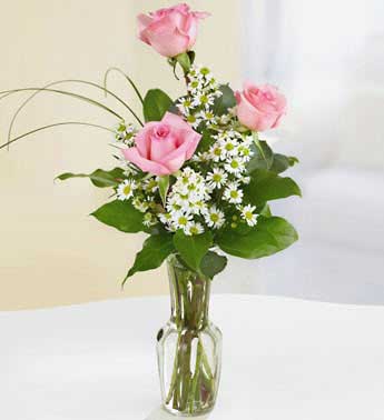 Pink Roses - 3 Stems