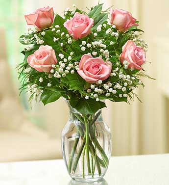 Pink Roses - 6 Stems