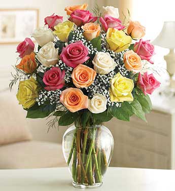 18 Premium Long Stem Roses