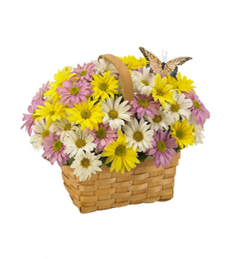 Daisy a Day Easter Basket