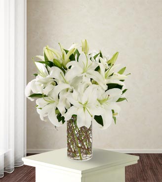 Simply Lily - White
