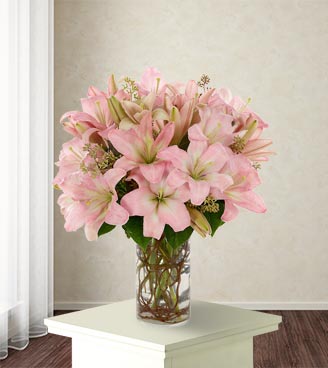Simply Lily Pink