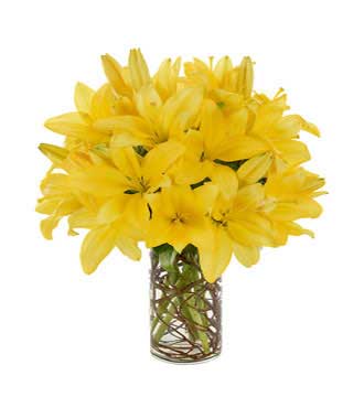 Simply Lily - Yellow