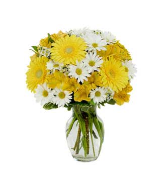 Daisy A Day Bouquet