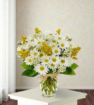 My Sunny Daisy Bouquet