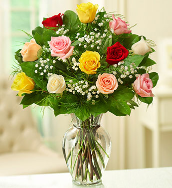 Dozen Assorted Roses