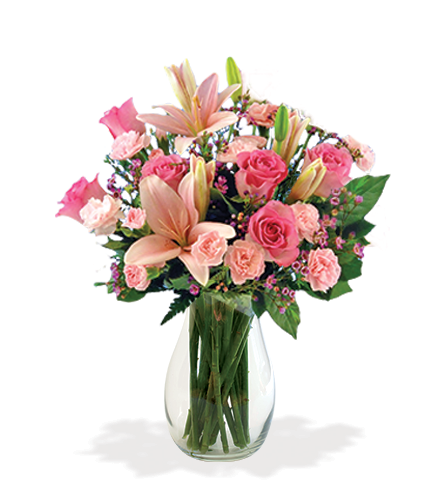 Pink Celebration Bouquet | Blooms Today