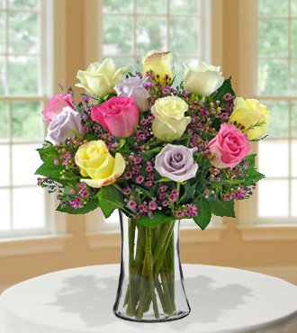 12 Pastel Long-Stem Roses