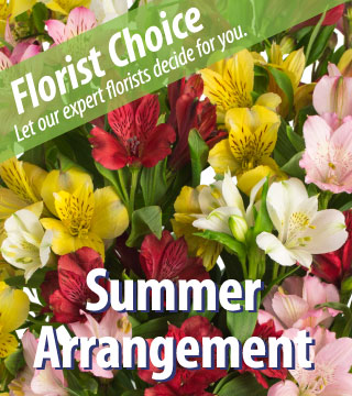 Florist Choice - Summer
