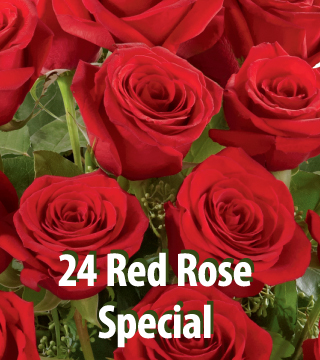 24 Red Rose Special